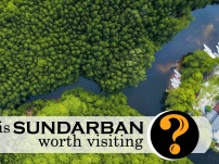 Is the Sundarban tour worth visiting?