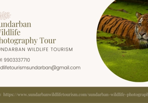 Wildlife Tours