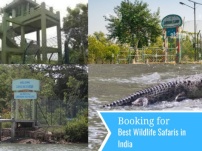 The Famous Attractions of Tourist Destination Sundarban that Drives Visitors Crazy