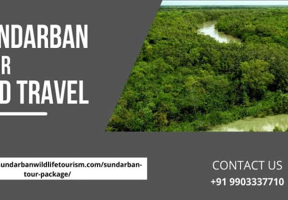 Sundarban Tours