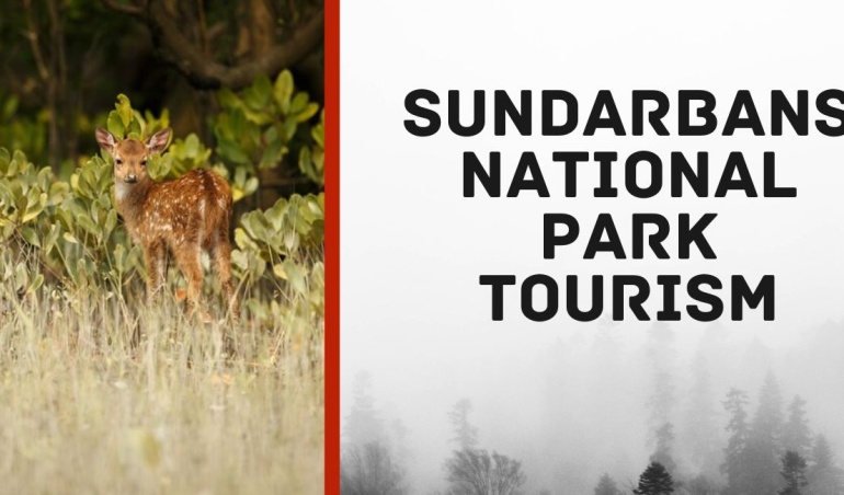 Royal Sundarban Tourism