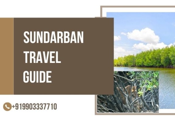 Sundarban Tour Operator