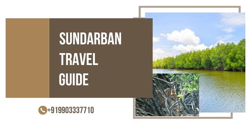 Sundarban Tour Operator