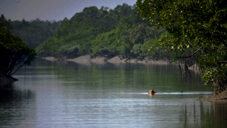 wildlife photography in india