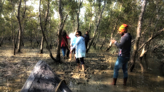 sundarban tour and travels sundarban tour and travels