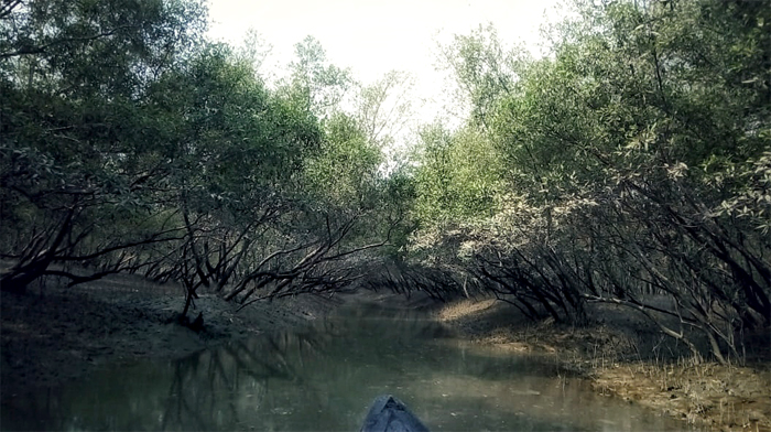 sundarban tour