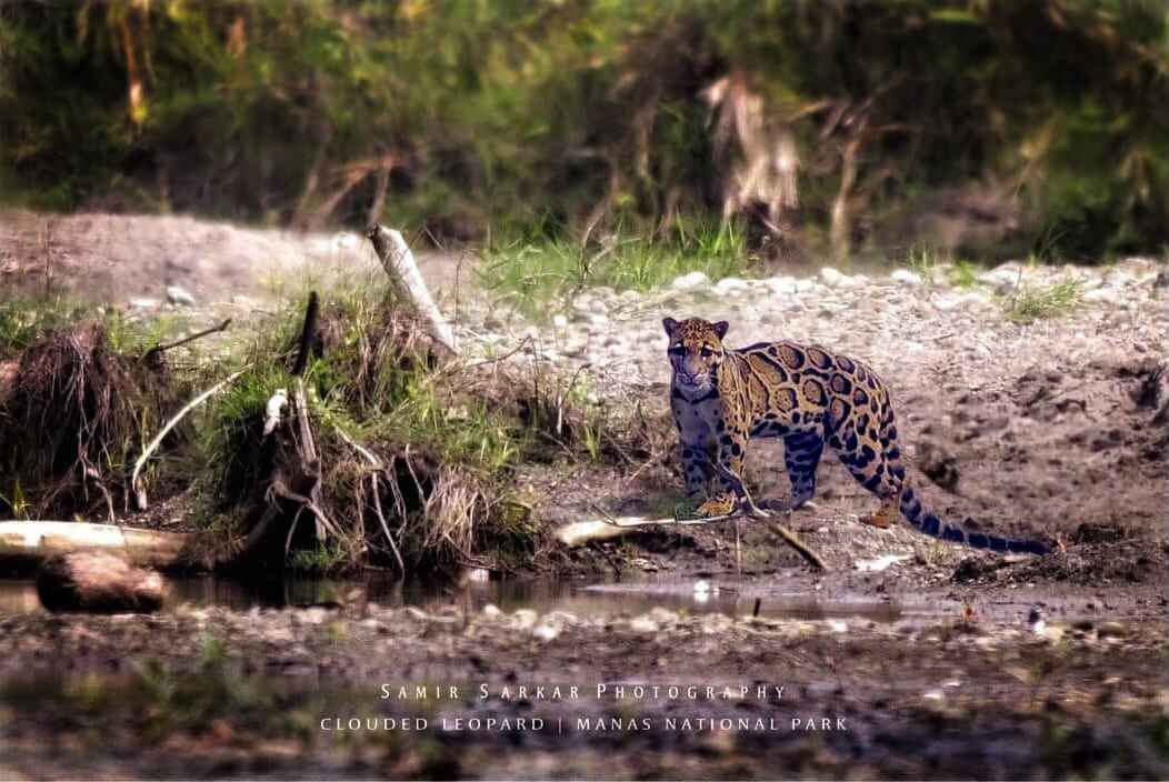 sundarbans national park tourism