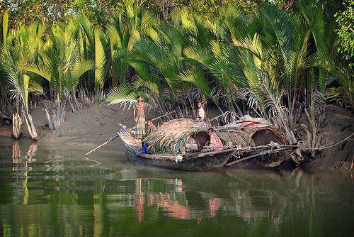 sundarban tourist package