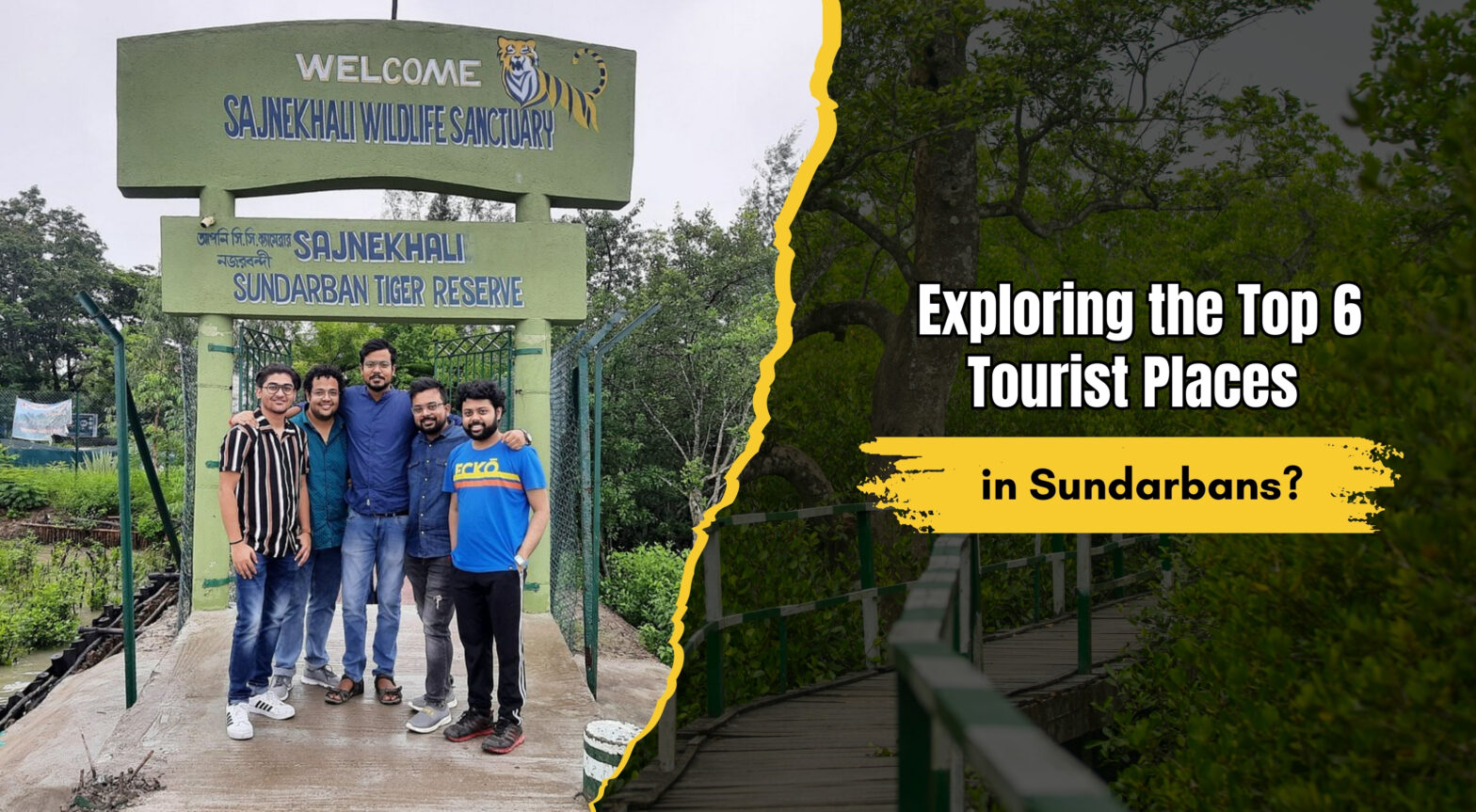 Exploring the Top 6 Tourist Attractions in Sundarbans?