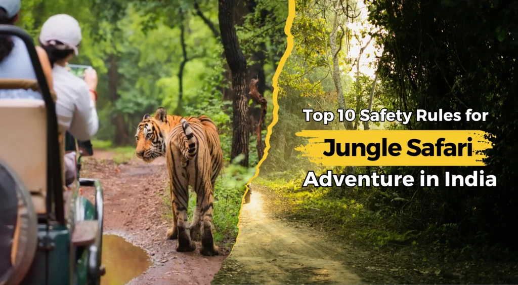 Top 10 Safety Rules for Jungle Safari Adventure in India